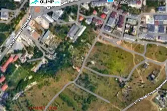 Парцел в София, Дървеница