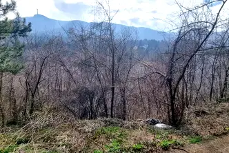 Парцел в София, Княжево