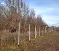 Снимка 3 — Парцел в София, Република