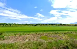 Парцел в Пловдив, Стамболийски