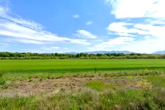 Парцел в Пловдив, Стамболийски
