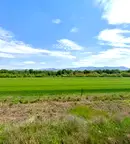 Парцел в Пловдив, Стамболийски