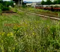 Снимка 3 — Парцел в Хасково, Свилен