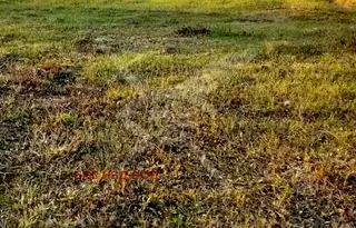 Парцел в Пловдив, Съединение