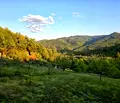 Снимка 4 — Парцел в Ловеч, Троян