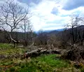 Снимка 5 — Парцел в Ловеч, Троян
