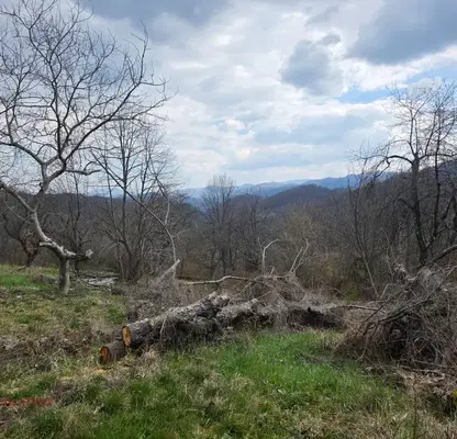 Photo 5 — Plot in Oblast Lovech, Troyan