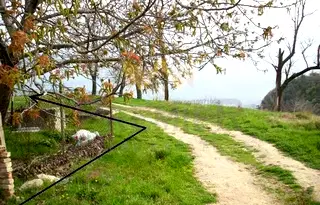 Парцел във Варна, Галата