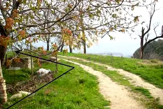 Парцел във Варна, Галата