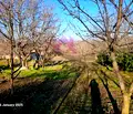 Снимка 4 — Парцел във Варна, м-т Боровец - север