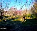 Снимка 5 — Парцел във Варна, м-т Боровец - север