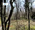 Снимка 2 — Парцел във Варна, м-т Фичоза