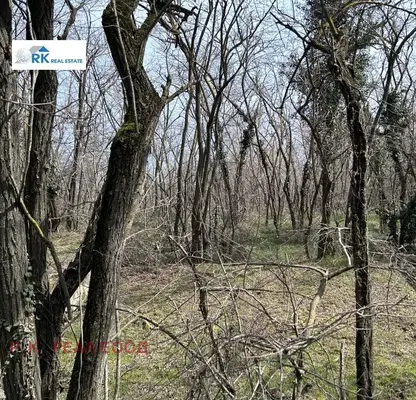 Photo 2 — Plot in Varna, Fichoza