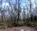Снимка 4 — Парцел във Варна, м-т Фичоза