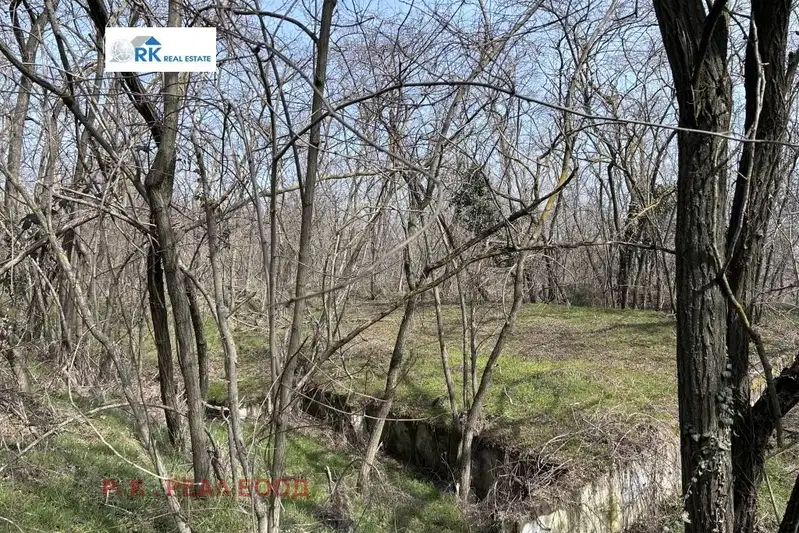 Plot in Varna, Fichoza