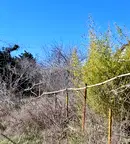 Парцел във Варна, м-т Манастирски рид