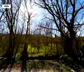 Снимка 4 — Парцел във Варна, м-т Орехчето