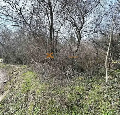 Photo 4 — Plot in Varna, Planova