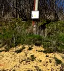 Парцел във Варна, м-т Сотира