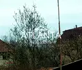 Снимка 3 — Парцел във Варна, Свети Никола