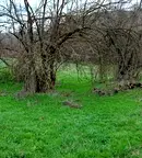 Парцел в Ловеч, Ябланица