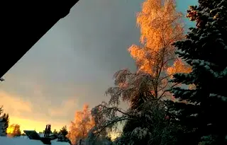 Парцел в София, в.з.Ярема