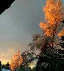 Парцел в София, в.з.Ярема