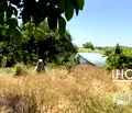 Снимка 4 — Бизнес имот в с. Световрачене