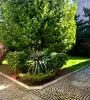 Бизнес имот в Стара Загора, Център