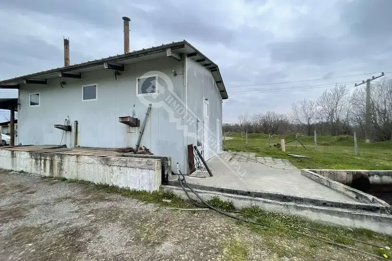 Industrial Building in Oblast Veliko Tyrnovo, Zlatarica