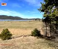Снимка 4 — Земеделски имот в Пазарджик, Батак
