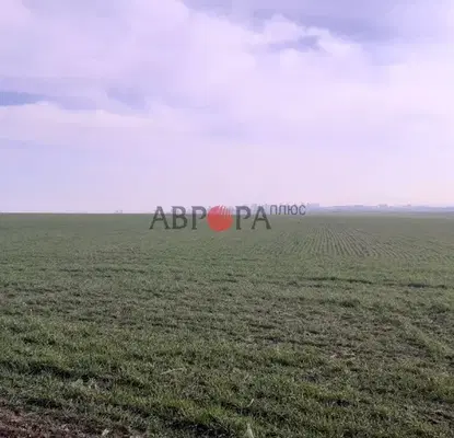 Photo 4 — Agricultural Land in Oblast Burgas, Burgas