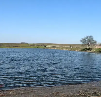 Photo 3 — Agricultural Land in Oblast Stara Zagora, Gylybovo