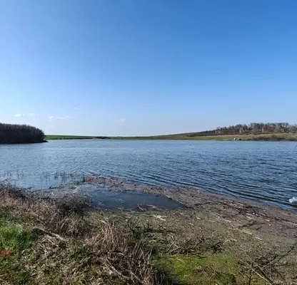 Photo 5 — Agricultural Land in Oblast Stara Zagora, Gylybovo