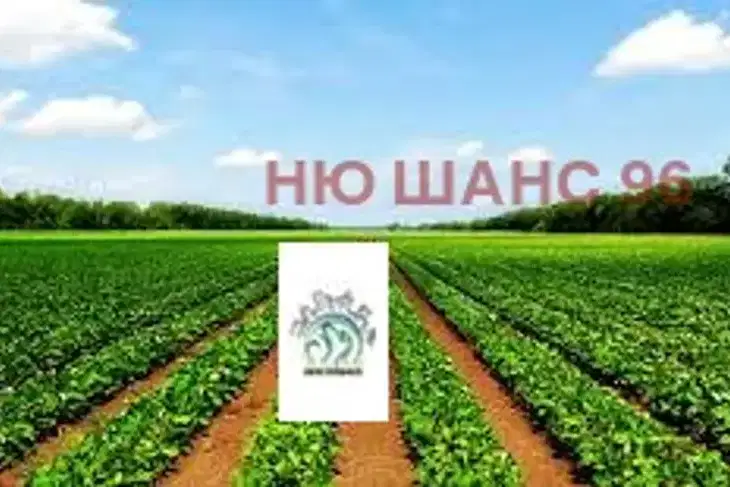 Земеделски имот в Пловдив, Карлово