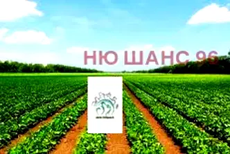 Земеделски имот в Пловдив, Карлово
