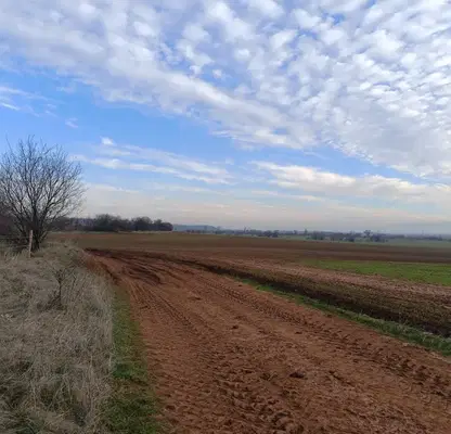 Photo 5 — Agricultural Land in област София, Novi Iskyr