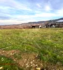 Земеделски имот в Пловдив, Перущица