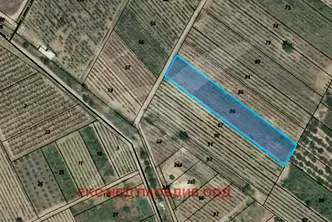 Земеделски имот в Пловдив, с. Брестник
