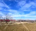 Снимка 4 — Земеделски имот в Пловдив, с. Цалапица