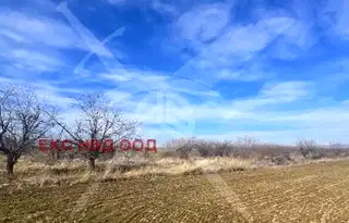 Земеделски имот в Пловдив, с. Цалапица
