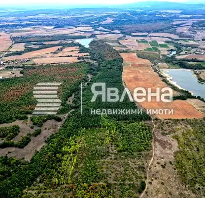 Photo 3 — Agricultural Land in Oblast Haskovo, Careva Polyana