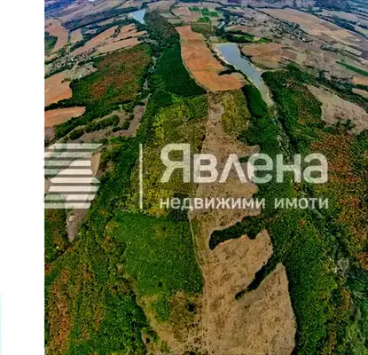 Photo 5 — Agricultural Land in Oblast Haskovo, Careva Polyana