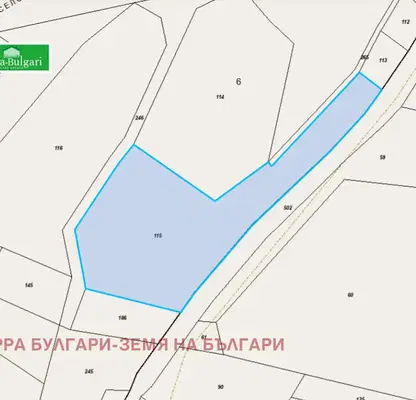 Photo 3 — Agricultural Land in Oblast Pernik, Dragichevo