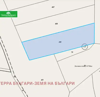 Снимка 5 — Земеделски имот в Перник, с. Драгичево
