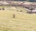 Снимка 5 — Земеделски имот в Пазарджик, с. Драгиново