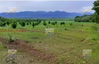 Земеделски имот в Стара Загора, с. Елхово (Николаево)