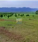 Земеделски имот в Стара Загора, с. Елхово (Николаево)