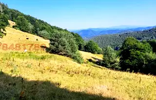 Земеделски имот в Смолян, с. Гела