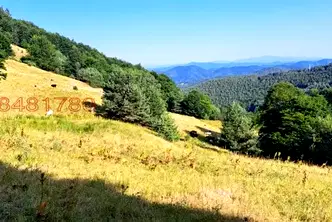 Земеделски имот в Смолян, с. Гела